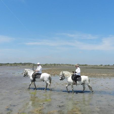 Mas De La Grenouillere Hotel Et Centre Equestre En Pleine Nature Σαιντ-Μαρί-ντε-λα-Μερ Εξωτερικό φωτογραφία