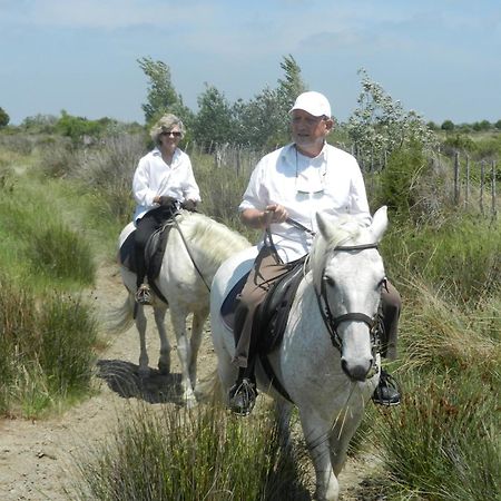 Mas De La Grenouillere Hotel Et Centre Equestre En Pleine Nature Σαιντ-Μαρί-ντε-λα-Μερ Εξωτερικό φωτογραφία