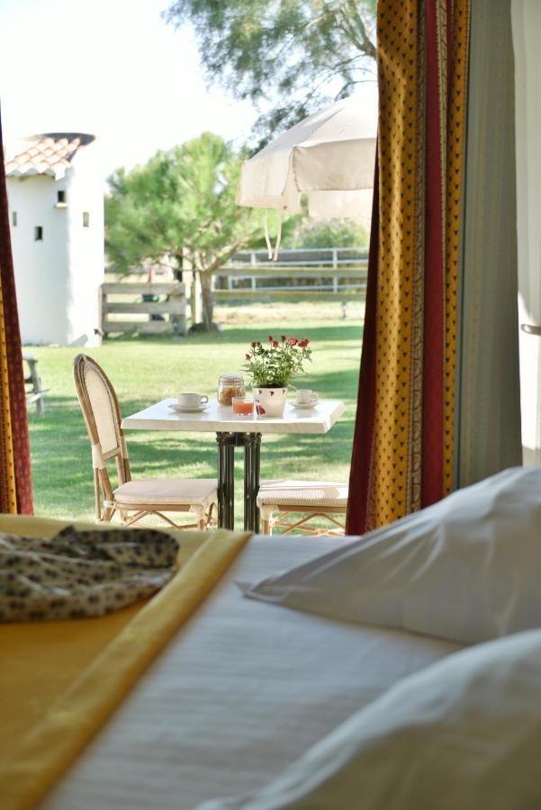 Mas De La Grenouillere Hotel Et Centre Equestre En Pleine Nature Σαιντ-Μαρί-ντε-λα-Μερ Εξωτερικό φωτογραφία