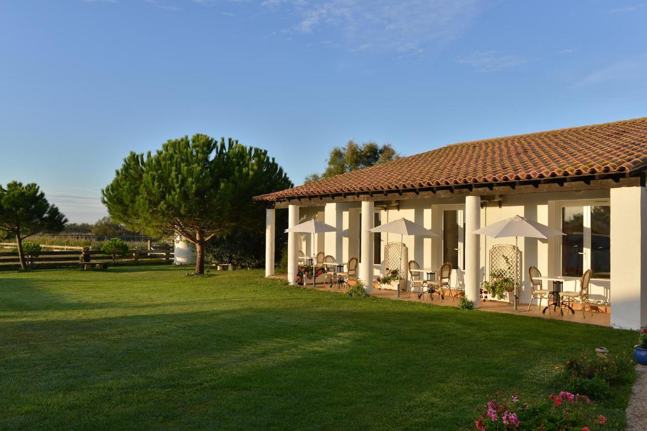 Mas De La Grenouillere Hotel Et Centre Equestre En Pleine Nature Σαιντ-Μαρί-ντε-λα-Μερ Εξωτερικό φωτογραφία