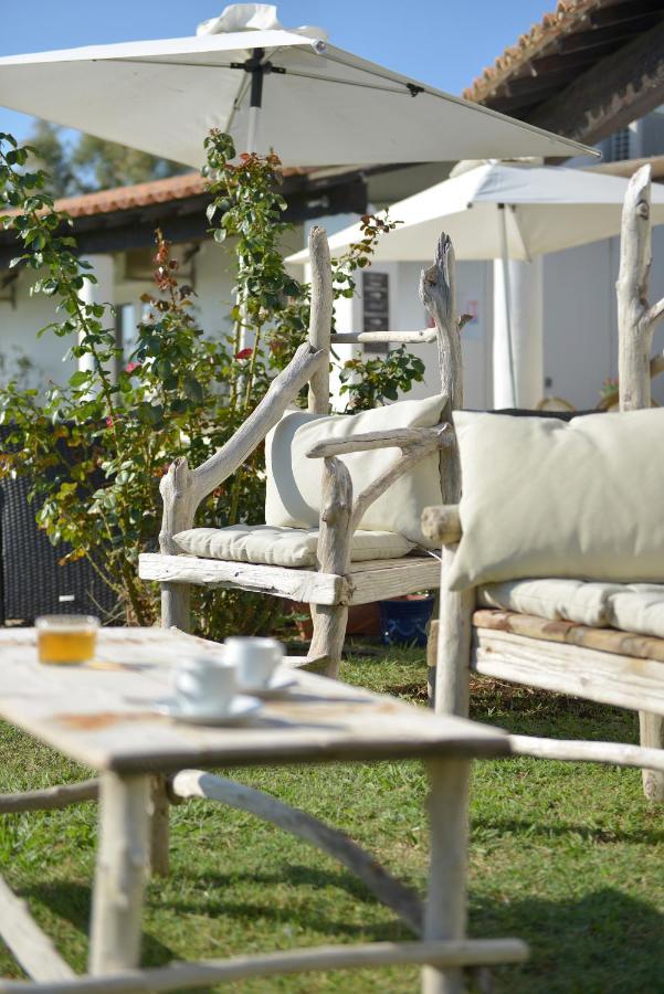 Mas De La Grenouillere Hotel Et Centre Equestre En Pleine Nature Σαιντ-Μαρί-ντε-λα-Μερ Εξωτερικό φωτογραφία