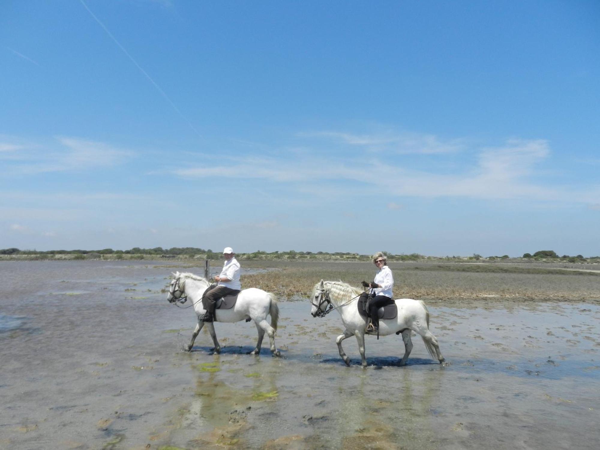 Mas De La Grenouillere Hotel Et Centre Equestre En Pleine Nature Σαιντ-Μαρί-ντε-λα-Μερ Εξωτερικό φωτογραφία