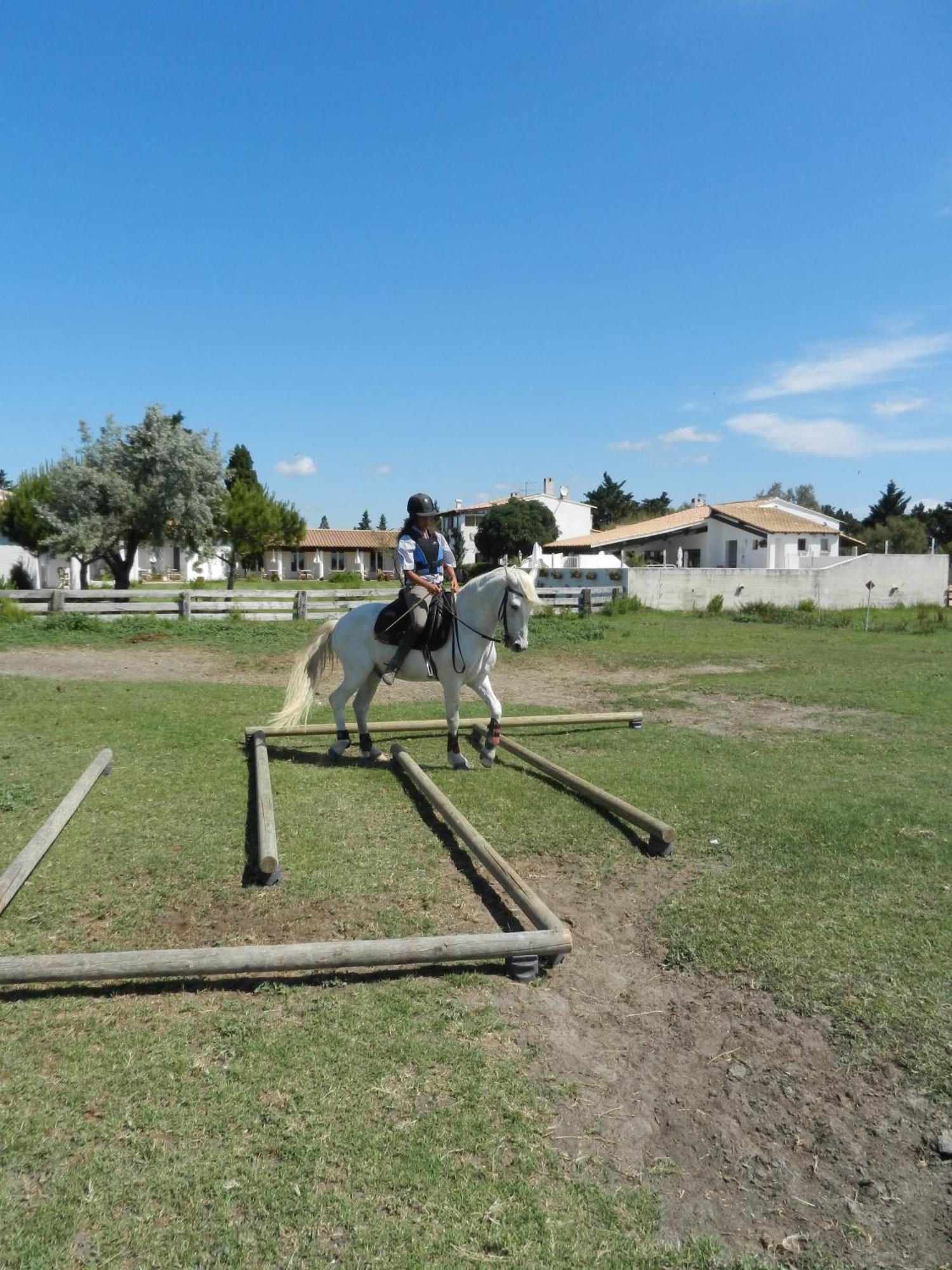 Mas De La Grenouillere Hotel Et Centre Equestre En Pleine Nature Σαιντ-Μαρί-ντε-λα-Μερ Εξωτερικό φωτογραφία