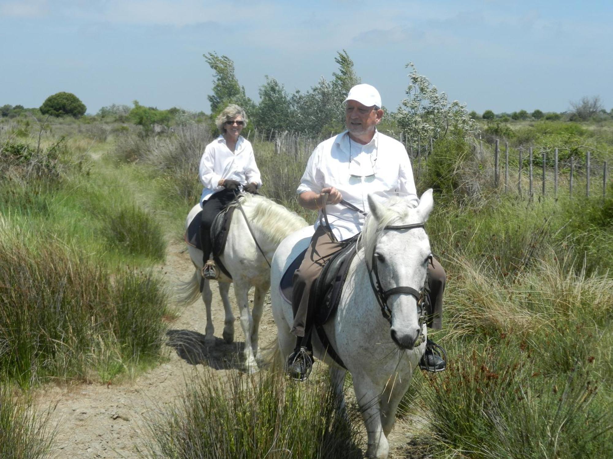 Mas De La Grenouillere Hotel Et Centre Equestre En Pleine Nature Σαιντ-Μαρί-ντε-λα-Μερ Εξωτερικό φωτογραφία