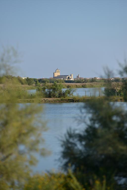 Mas De La Grenouillere Hotel Et Centre Equestre En Pleine Nature Σαιντ-Μαρί-ντε-λα-Μερ Εξωτερικό φωτογραφία