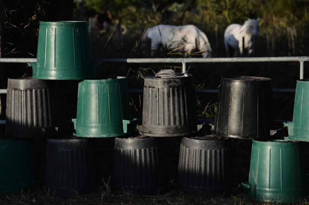 Mas De La Grenouillere Hotel Et Centre Equestre En Pleine Nature Σαιντ-Μαρί-ντε-λα-Μερ Εξωτερικό φωτογραφία