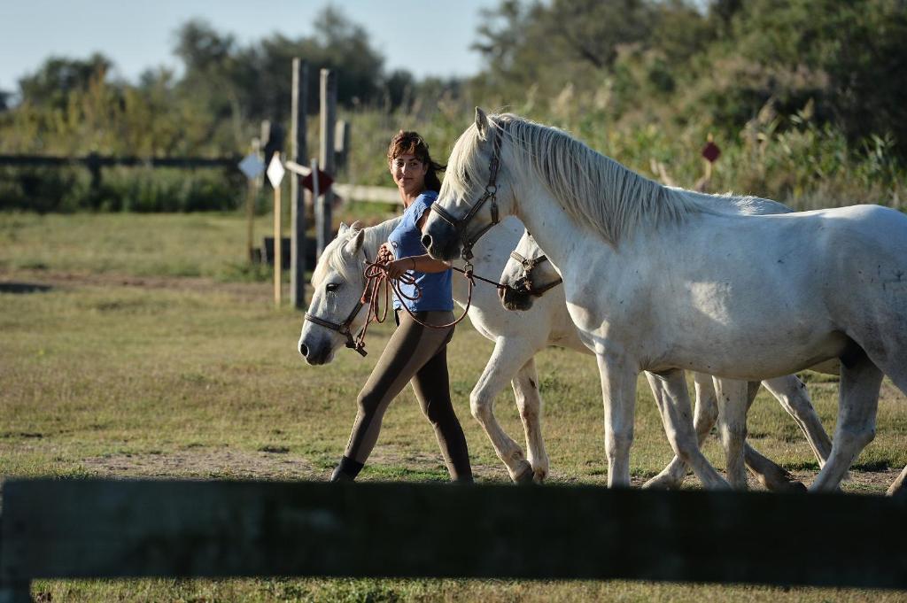 Mas De La Grenouillere Hotel Et Centre Equestre En Pleine Nature Σαιντ-Μαρί-ντε-λα-Μερ Εξωτερικό φωτογραφία