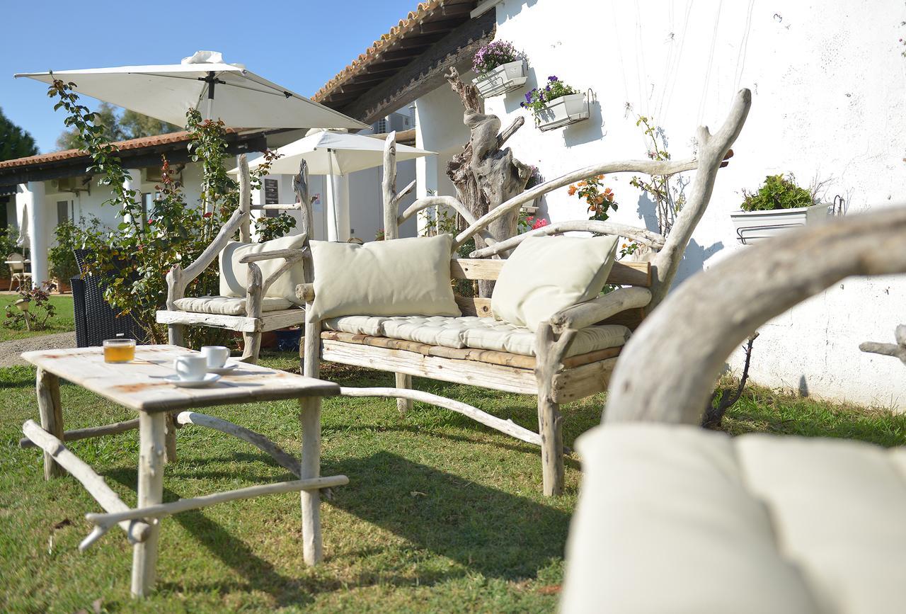 Mas De La Grenouillere Hotel Et Centre Equestre En Pleine Nature Σαιντ-Μαρί-ντε-λα-Μερ Εξωτερικό φωτογραφία